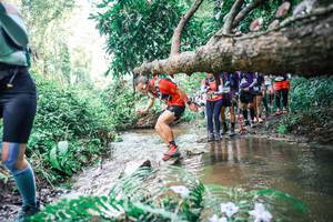 BIB: 
                            <button type="button" onclick="openModal(25477054)" class="btn btn-primary btn-sm float-right btn-popup" data-toggle="modal" data-target=".modal-high-quality">
                        <i class="fas fa-shopping-cart"></i> Add to Cart
                    </button>
                                            <button type="button" onclick="isThisMe(25477054, true)" class="btn btn-success btn-sm float-right btn-popup btn-isme hidden" data-toggle="tooltip" data-placement="bottom" title="นี่คือรูปของคุณใช่ไหม คลิกที่นี่เพื่อเอาเข้าอัลบั้ม">
                        <i class="fas fa-plus"></i> Add to album
                    </button>
                    <button type="button" onclick="isThisMe(25477054, false)" class="btn btn-warning btn-sm float-right btn-popup btn-isnotme hidden">
                        <i class="fas fa-ban"></i> Remove from album
                    </button>